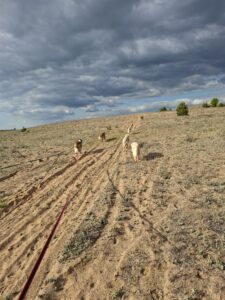 galeria (22)