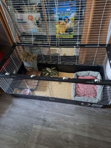 galeria (23)