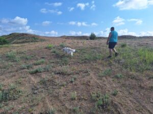 galeria (34)