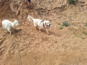 galeria (36)