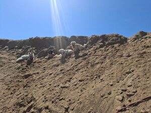 galeria (53)