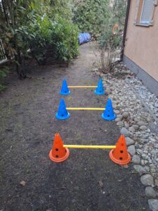 galeria (7)