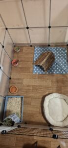 galeria (72)